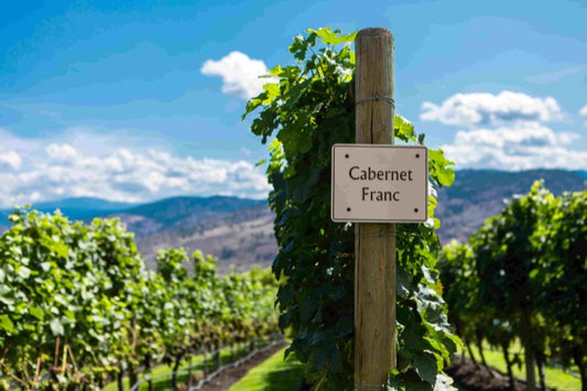 Cabernet Franc Tasting 18/07/2024