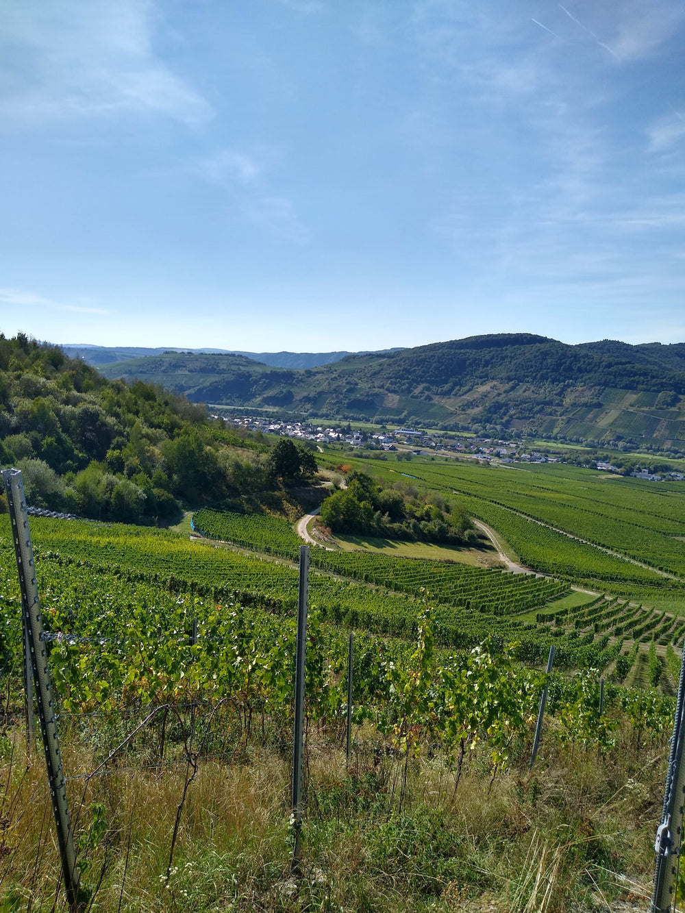 Cornelius Beer And Wine