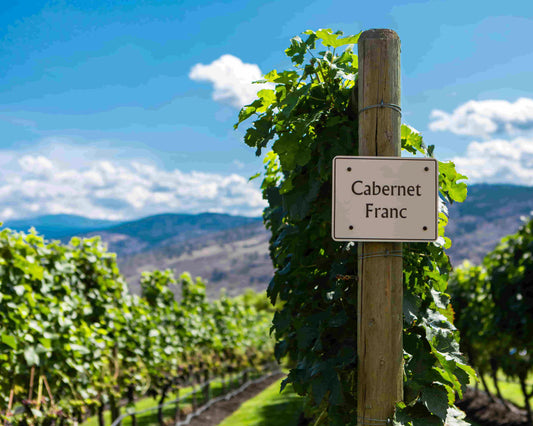 Cabernet Franc tasting in Little Fitzroy on 18/07/2024